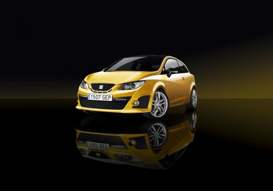  Seat Ibiza Cupra 2008 года  (фото 36 из 36)